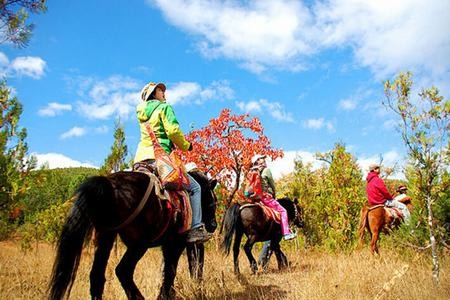 【丽江出发】丽江旅游|丽江拉市海+茶马古道+网红天空之镜一日游