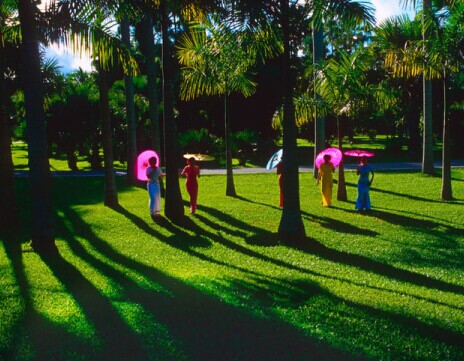 西双版纳游|西版纳原始森林公园+野象谷+曼听公园+傣族园游（雨林时代）