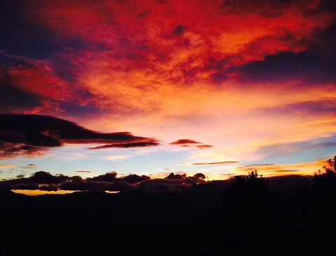 西双版纳四日游