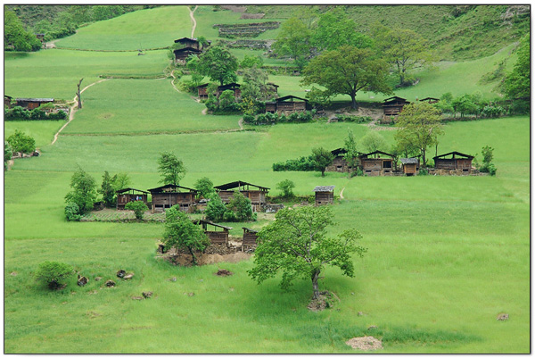 普达措国家森林公园