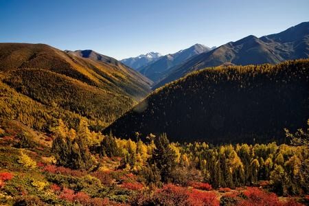 香格里拉巴拉格宗