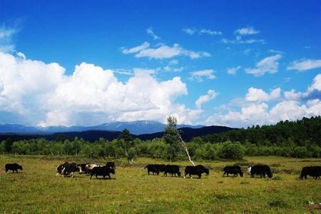 香格里拉二日游｜香格里拉2日游费用|香格里拉2天1晚游
