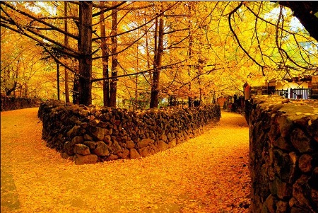 腾冲四日游|芒市瑞丽腾冲露天温泉SPA 4天3晚品质游