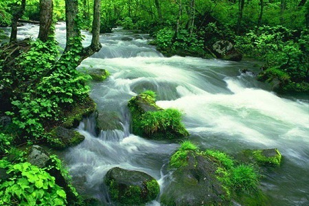 昆明到长沙旅游
